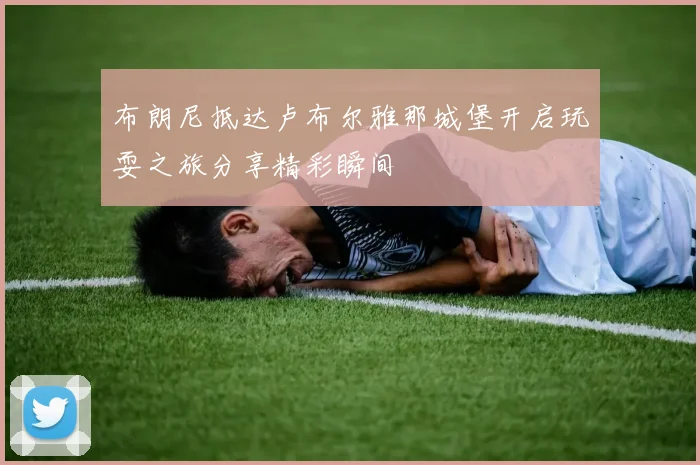 布朗尼抵达卢布尔雅那城堡开启玩耍之旅分享精彩瞬间